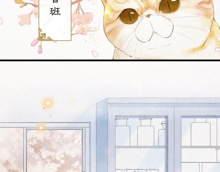 第1话 御猫的神秘生活 第67页