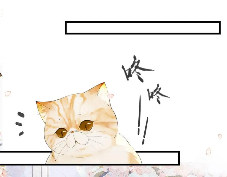 第1话 御猫的神秘生活 第72页