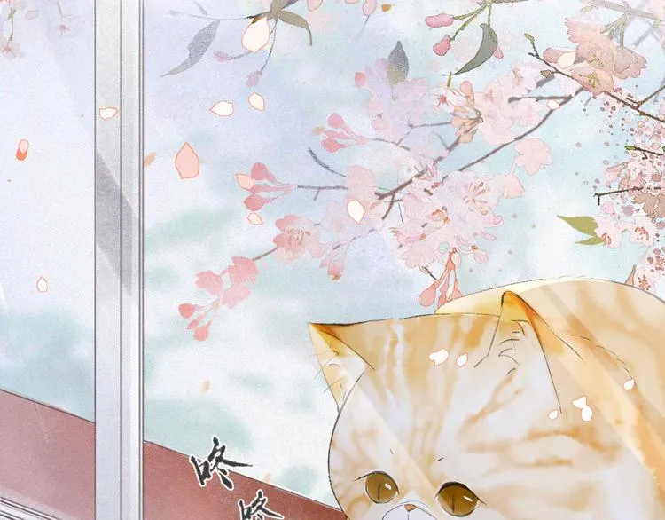 第1话 御猫的神秘生活 第73页