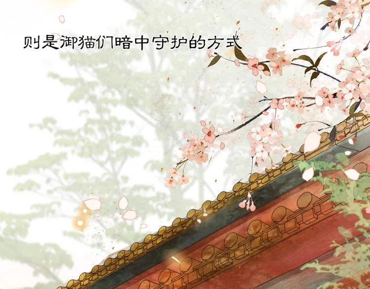 第1话 御猫的神秘生活 第77页