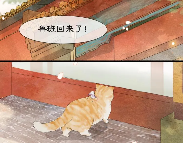 第1话 御猫的神秘生活 第78页