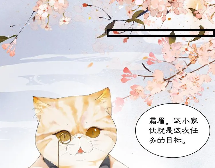 第1话 御猫的神秘生活 第80页