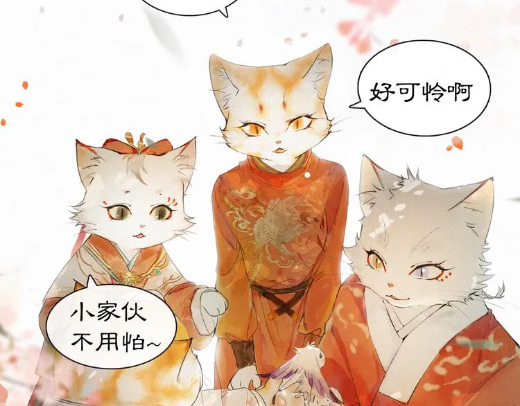 第1话 御猫的神秘生活 第84页