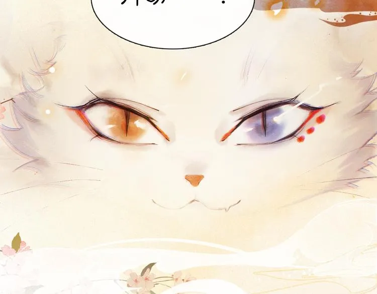 第1话 御猫的神秘生活 第102页
