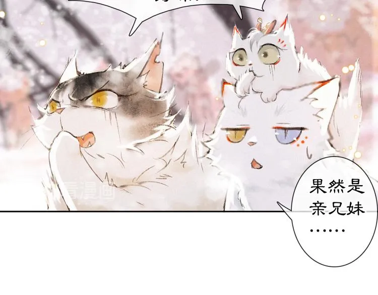 番外 下雪啦~ 第22页