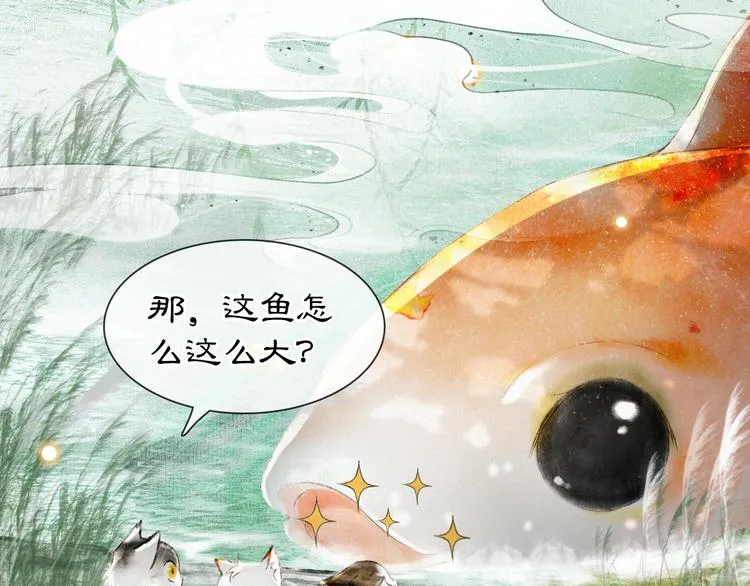 第16话 鱼也吸猫？ 第2页