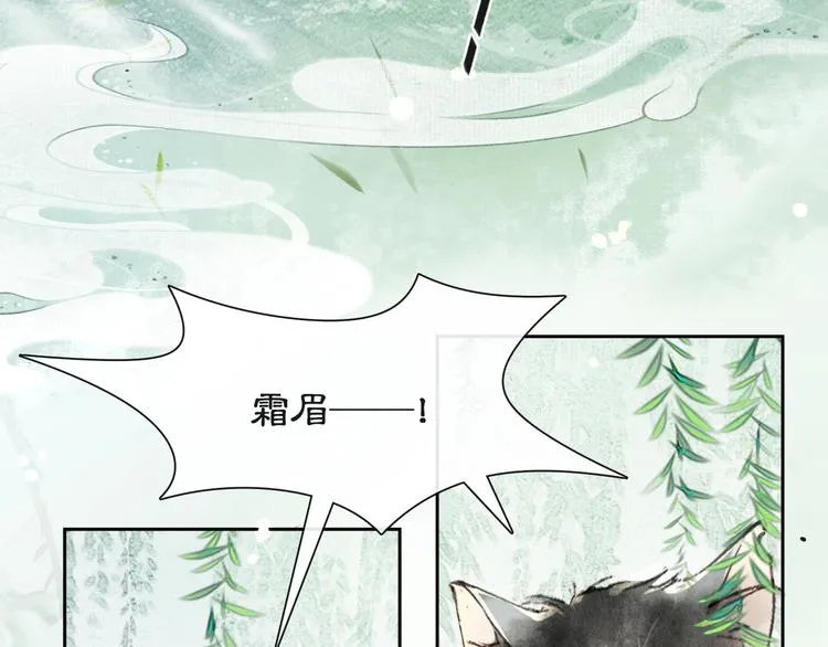 第16话 鱼也吸猫？ 第11页