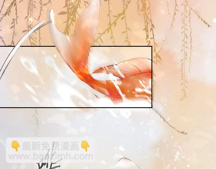 第16话 鱼也吸猫？ 第28页