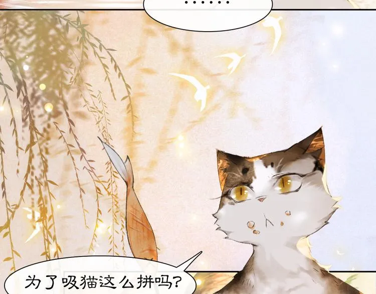 第16话 鱼也吸猫？ 第36页