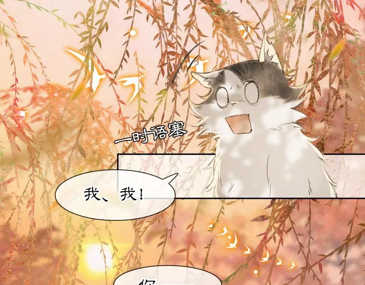 第16话 鱼也吸猫？ 第43页