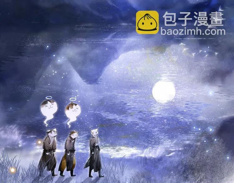 第19话 深夜，猫与鱼 第37页