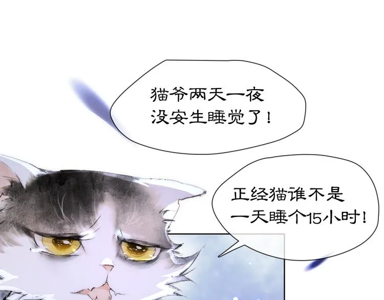 第19话 深夜，猫与鱼 第39页