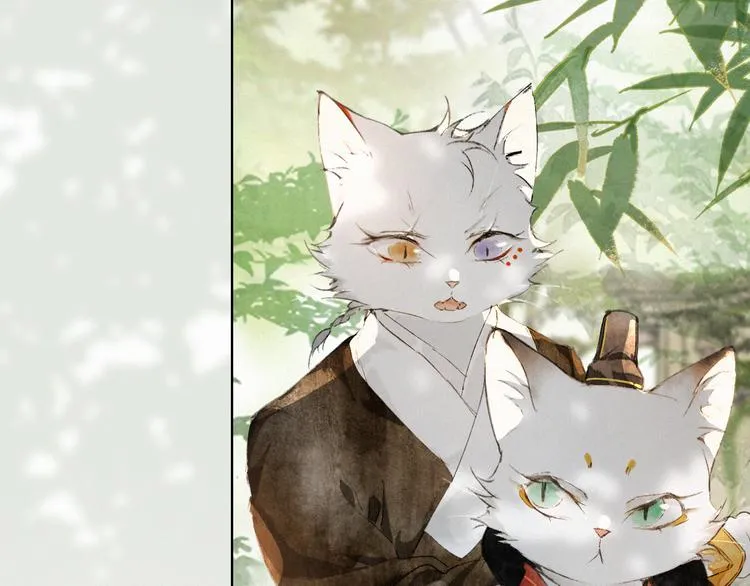 第28话 有“猫腻”的柴房 第8页
