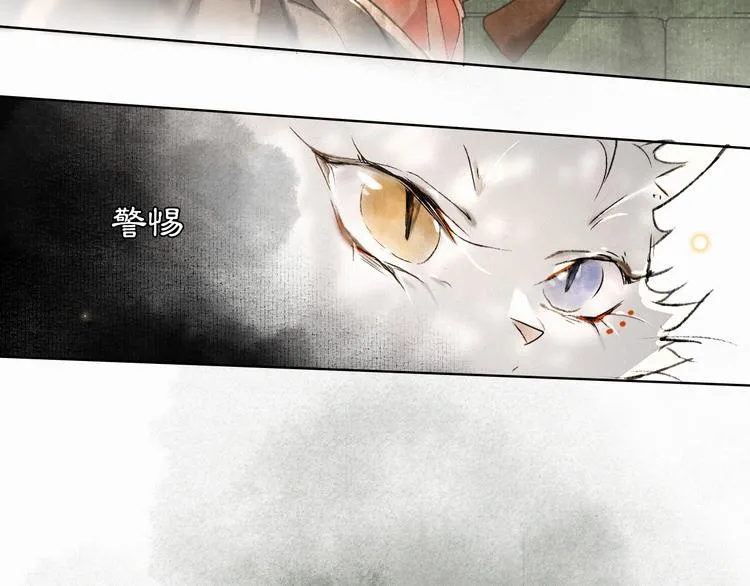 第28话 有“猫腻”的柴房 第16页
