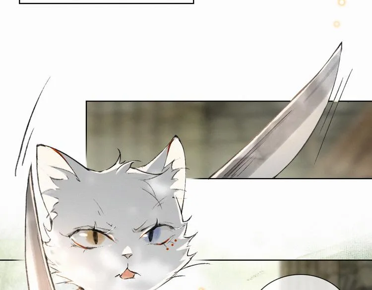 第28话 有“猫腻”的柴房 第26页