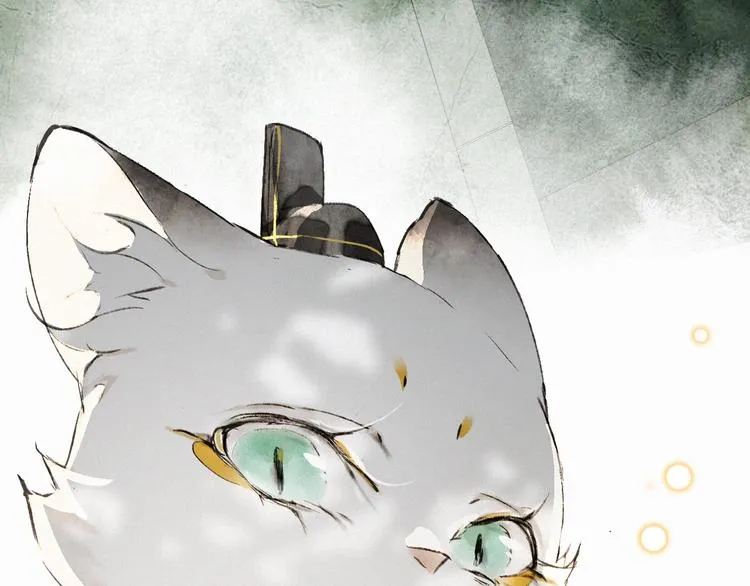 第28话 有“猫腻”的柴房 第33页