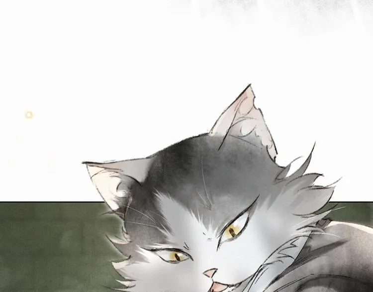 第28话 有“猫腻”的柴房 第44页