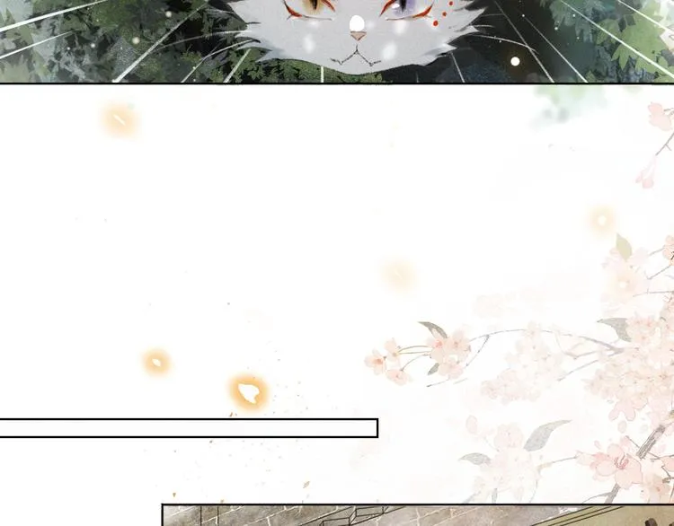 第30话 飞天御猫 第34页