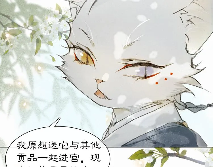 第30话 飞天御猫 第41页
