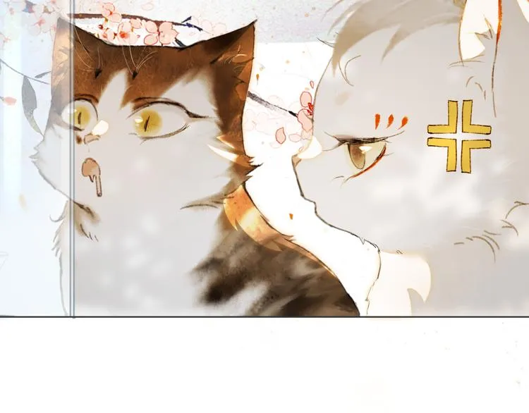 第41话 三秋杯的故事 第48页