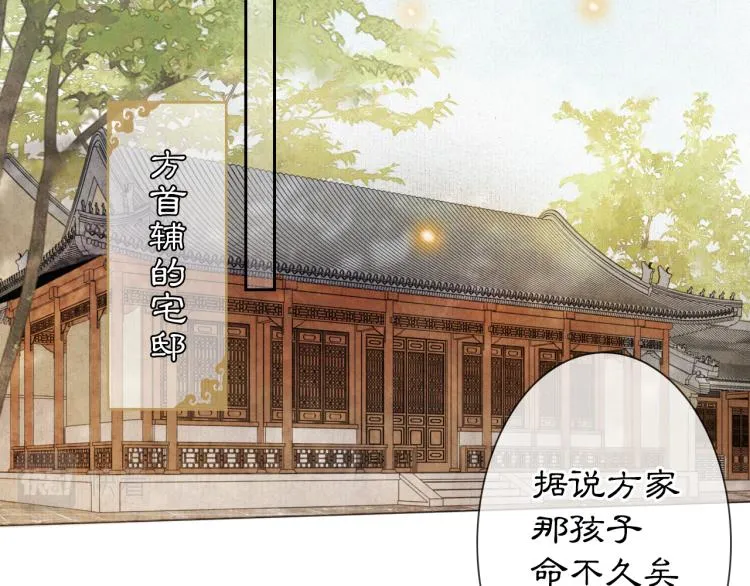 第2话 乱点鸳鸯 第62页