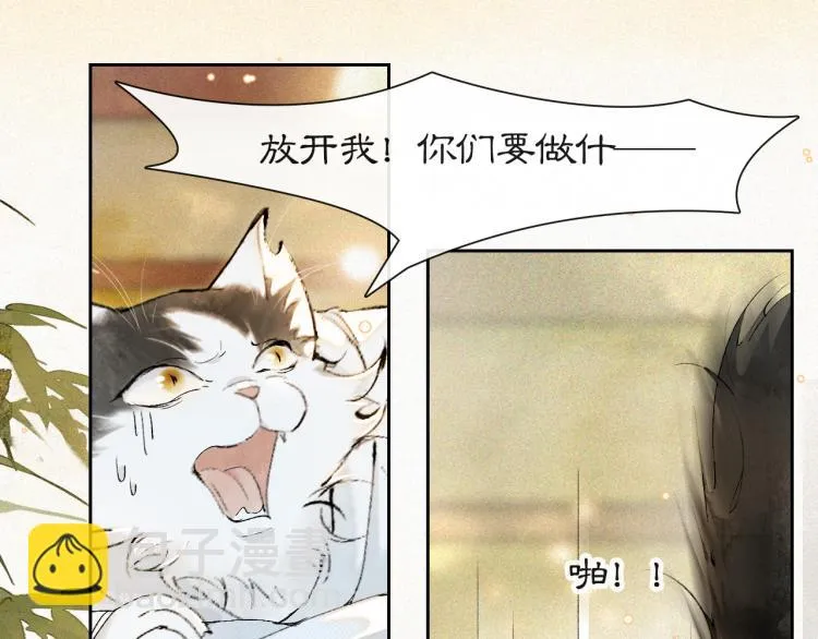 第5话 乐与忧 第11页