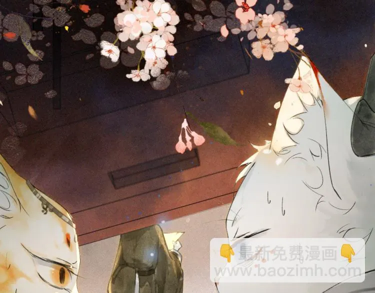 第9话 御喵会议！ 第14页
