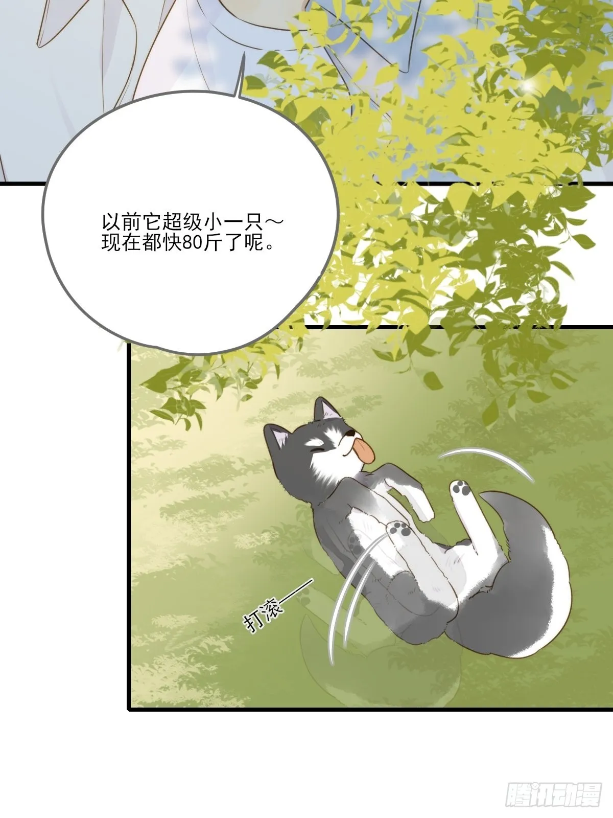 被治愈的心 第43页