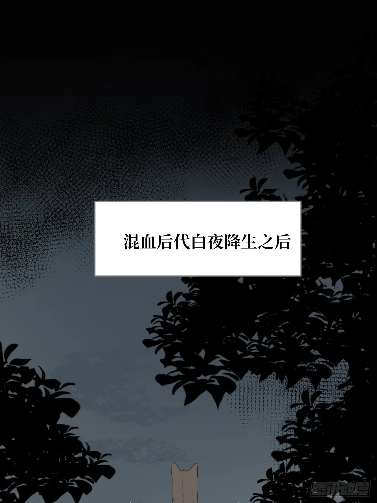 白夜坎坷的过去 第19页
