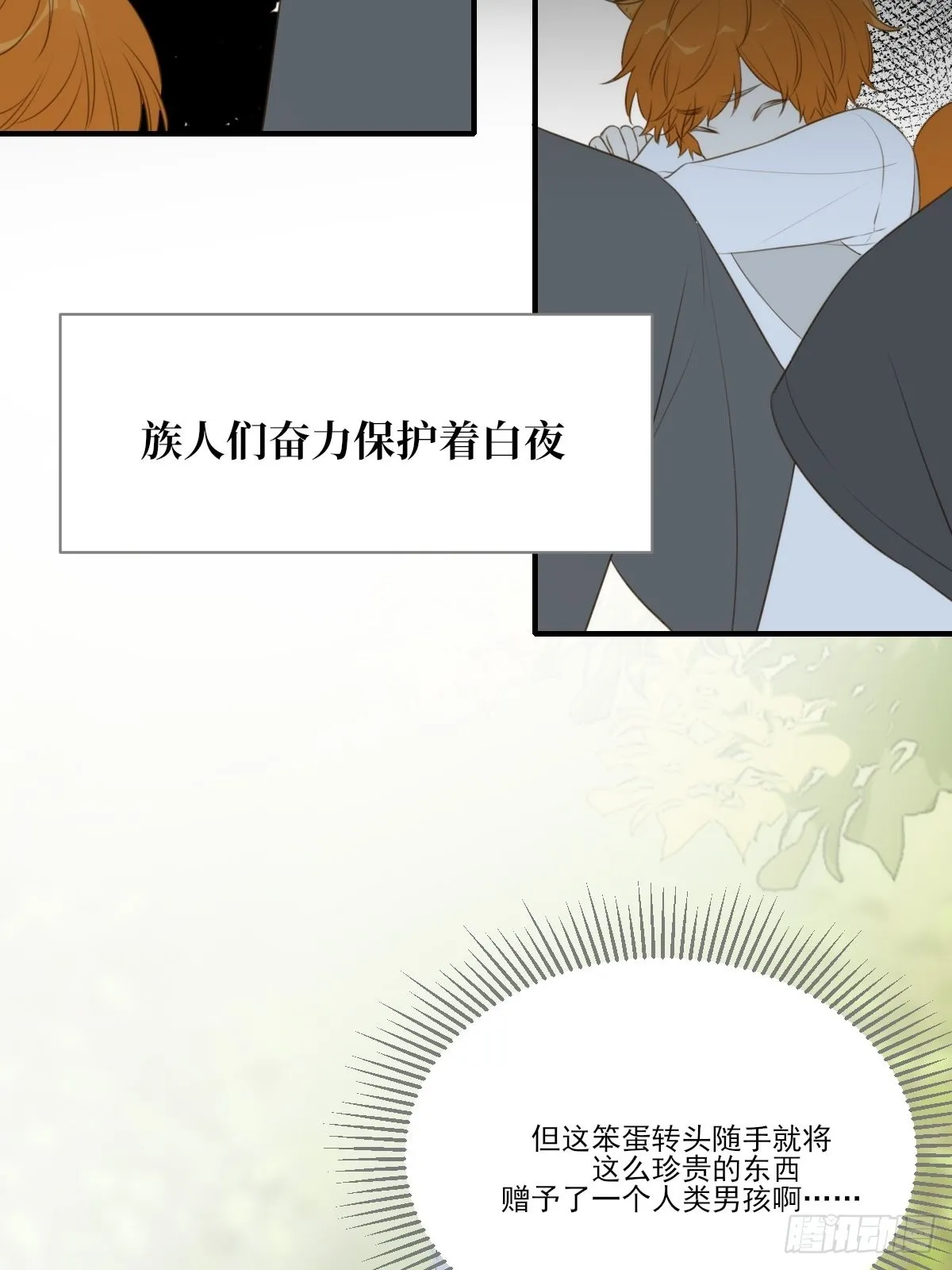 白夜坎坷的过去 第22页