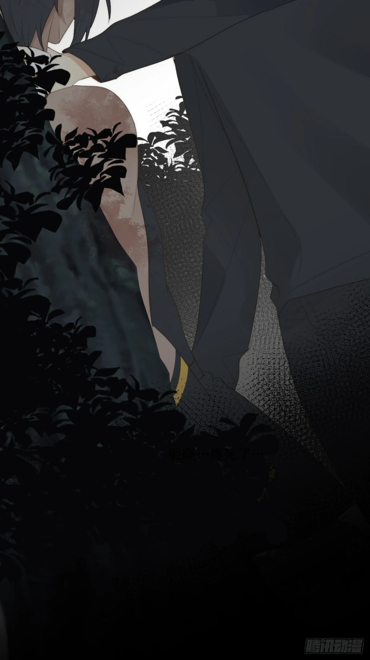 记忆苏醒，白夜回归 第38页