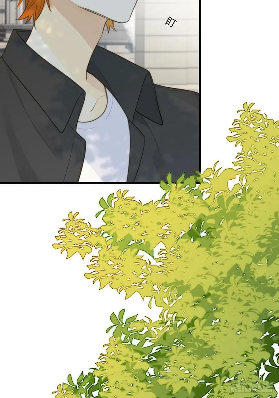 握紧我的手 第51页