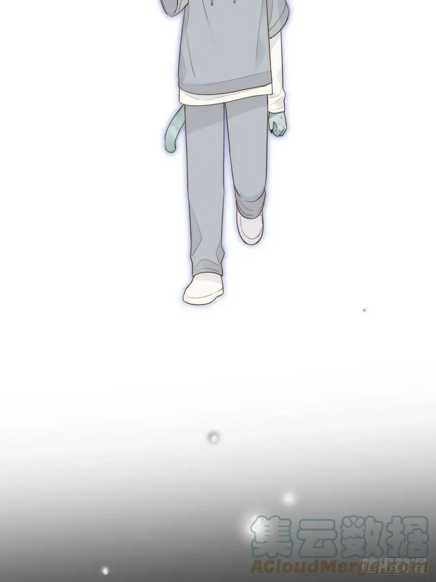失败的狼 第19页