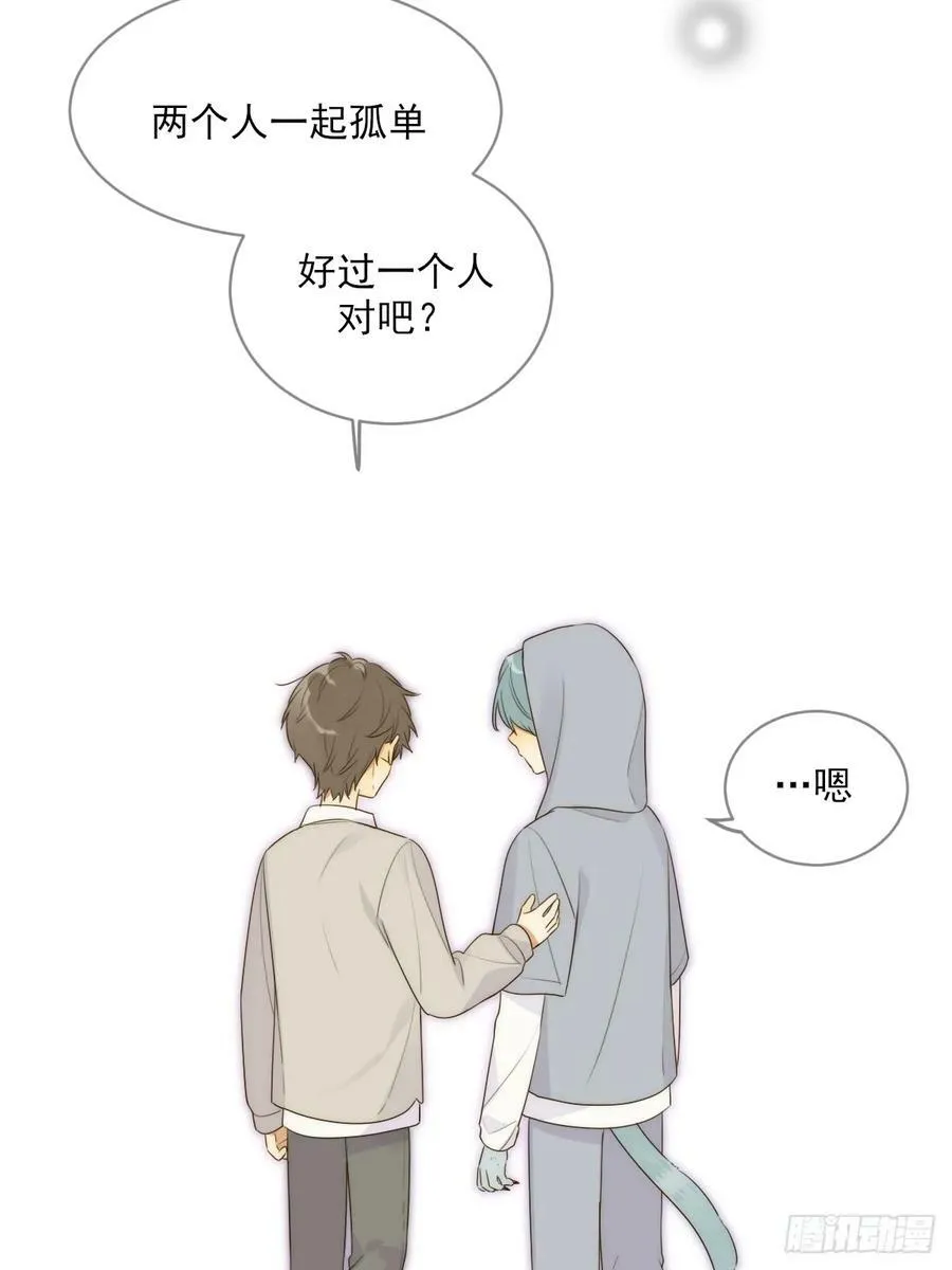 失败的狼 第23页
