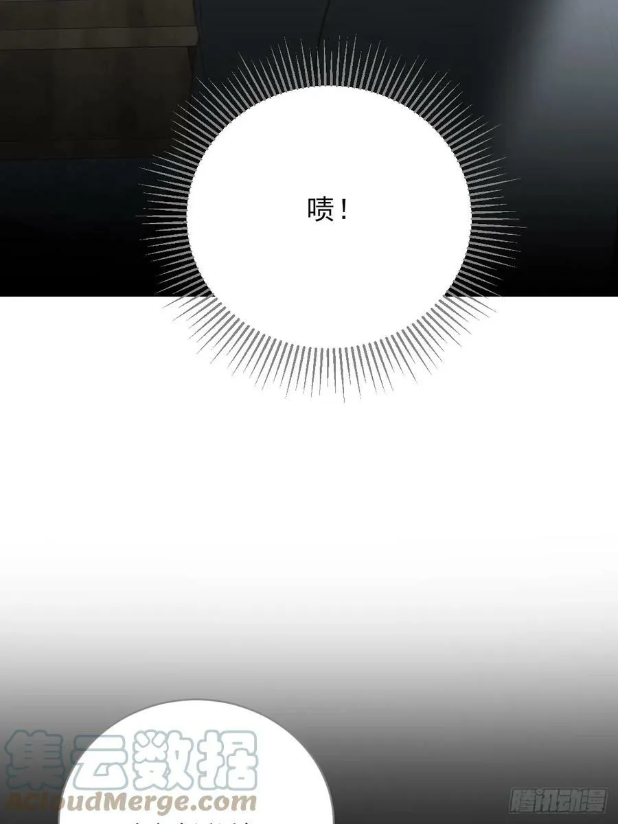 失败的狼 第40页