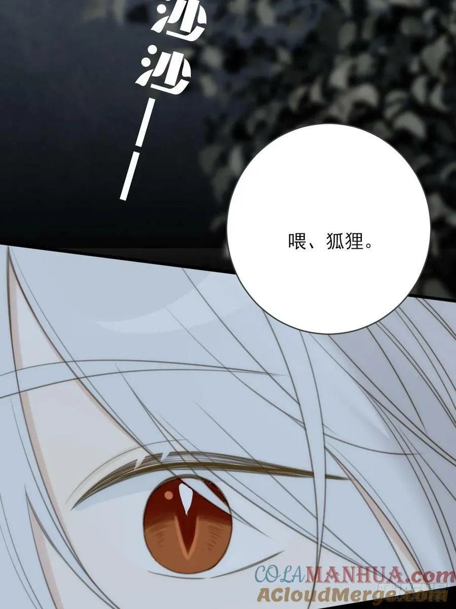 与我逃离这里 第4页