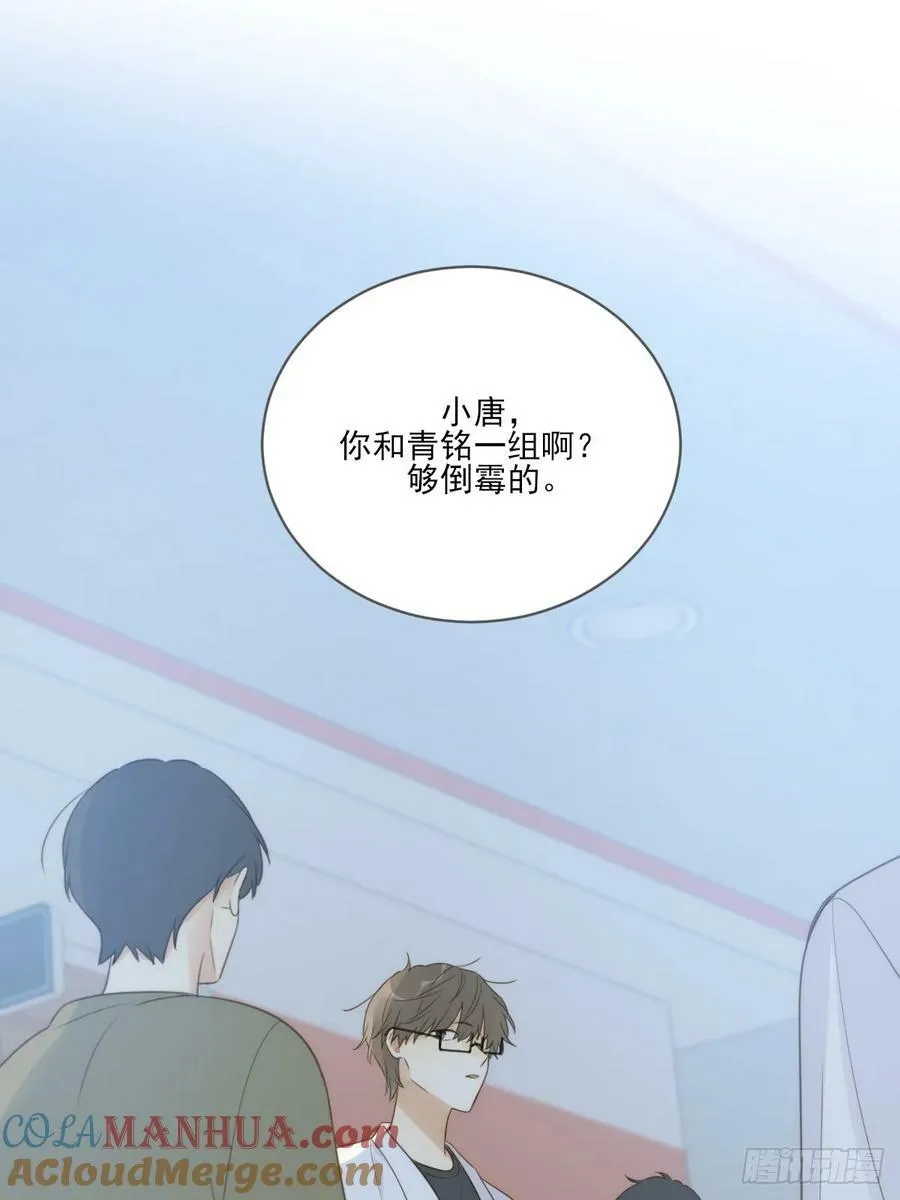 夜行性动物？ 第13页