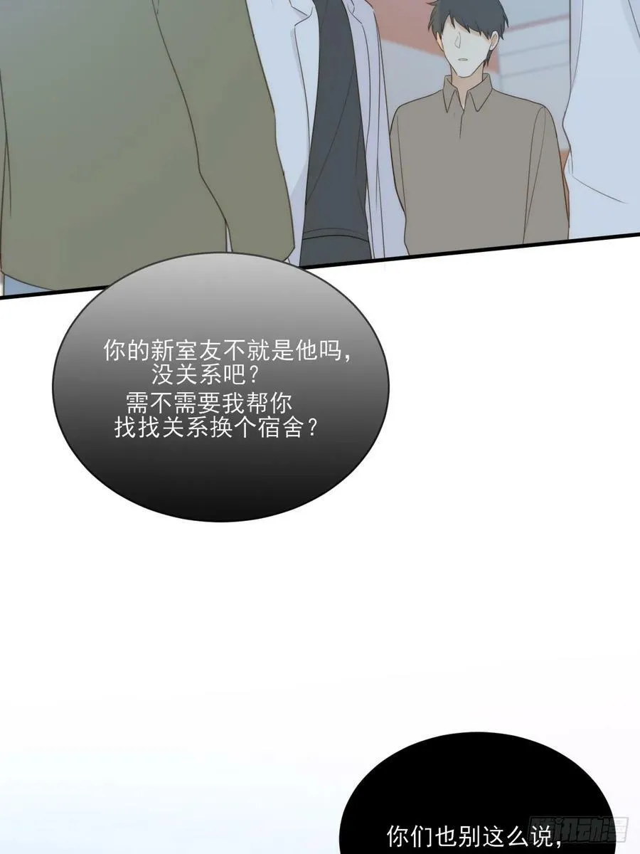 夜行性动物？ 第14页