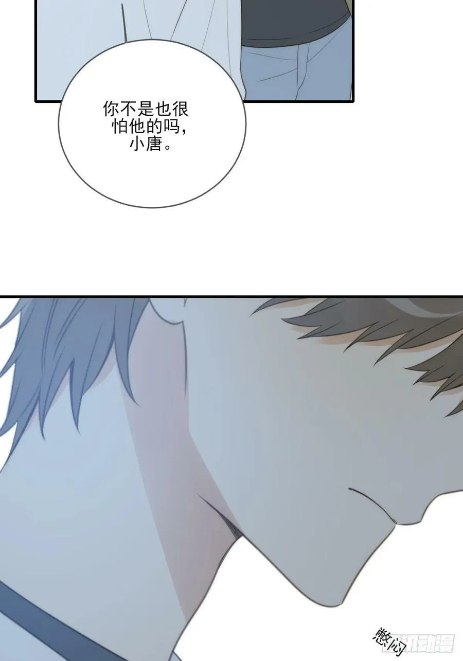 夜行性动物？ 第24页