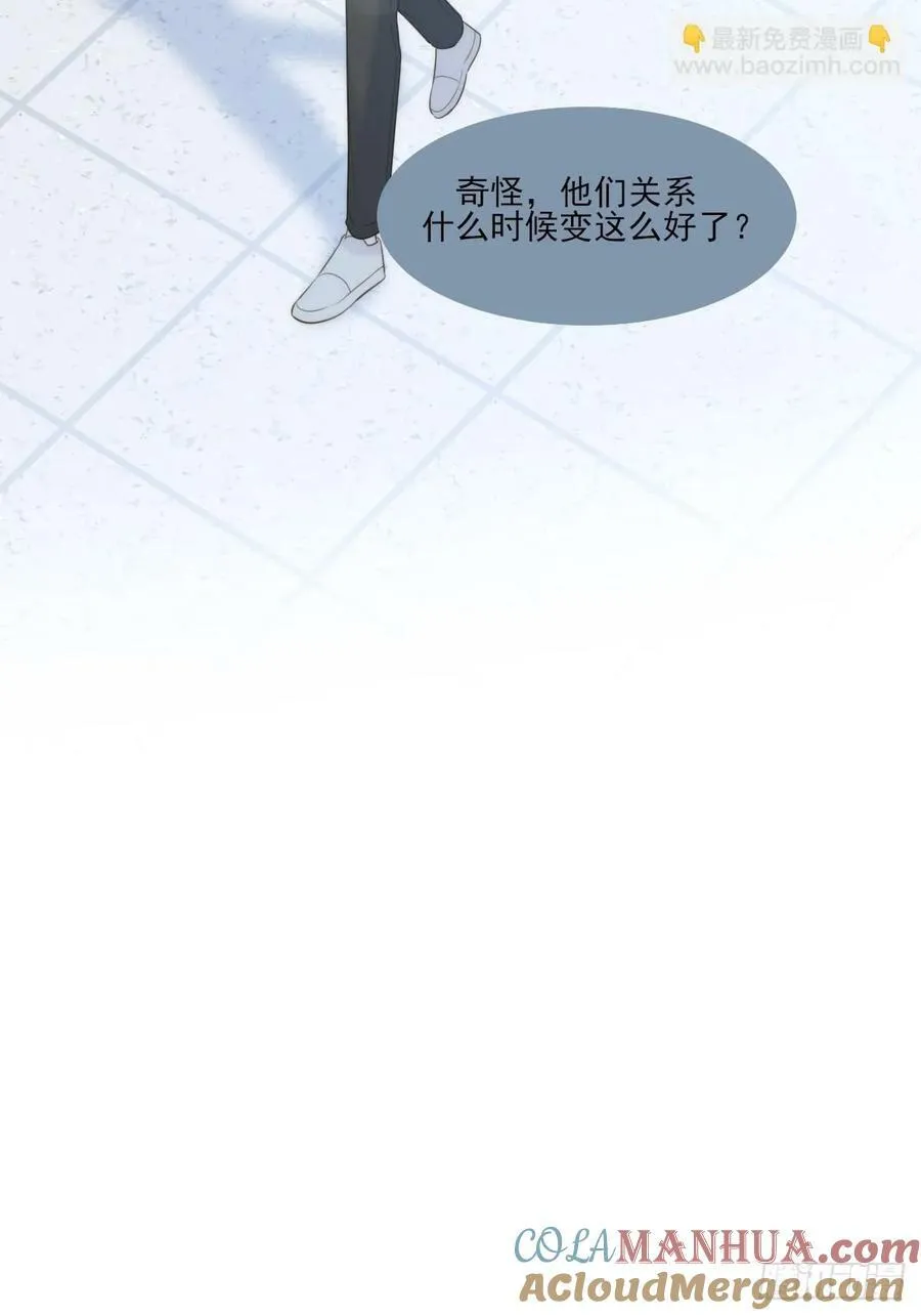 夜行性动物？ 第28页