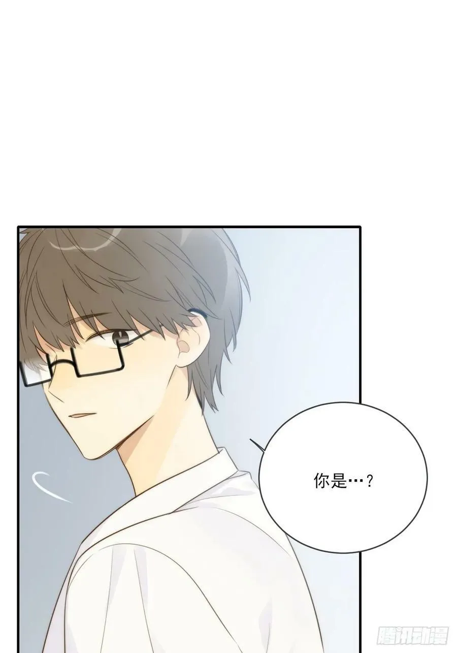 夜行性动物？ 第35页