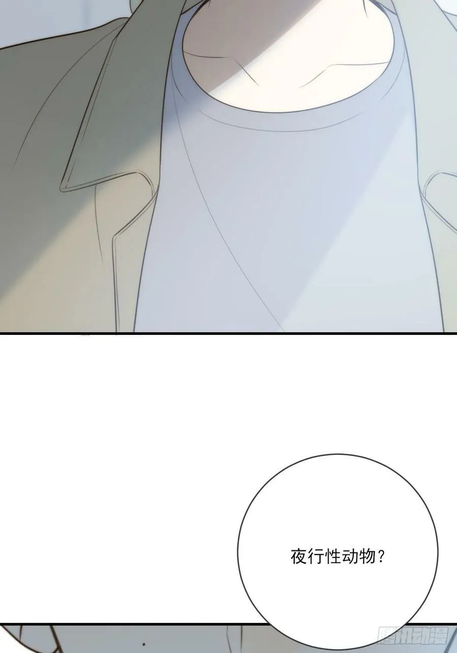 夜行性动物？ 第41页