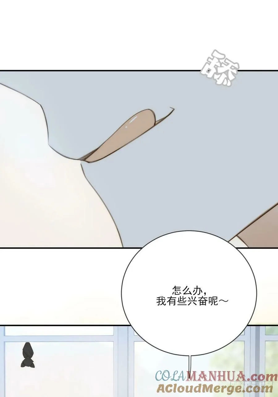 夜行性动物？ 第46页