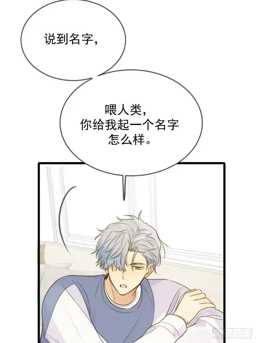 师徒再见 第15页