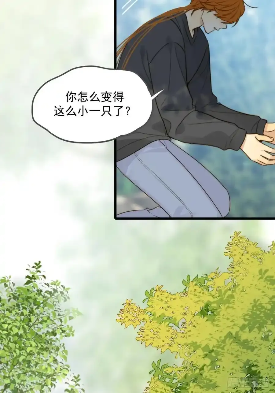 师徒再见 第39页