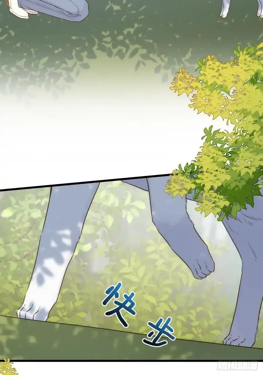 师徒再见 第41页