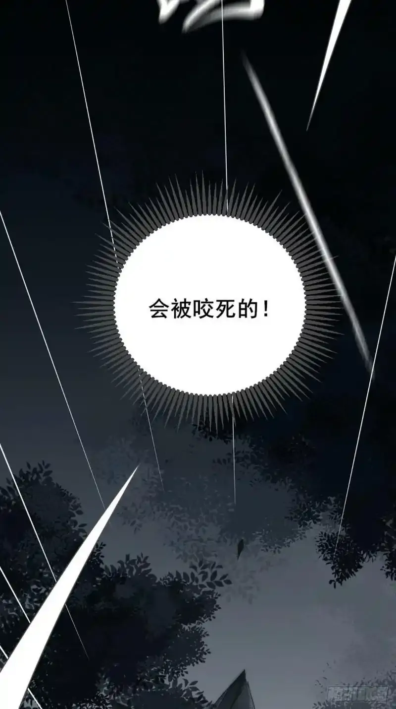 命运般地相遇了 第5页