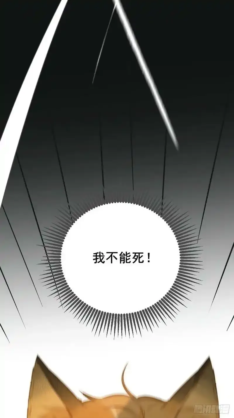 命运般地相遇了 第7页
