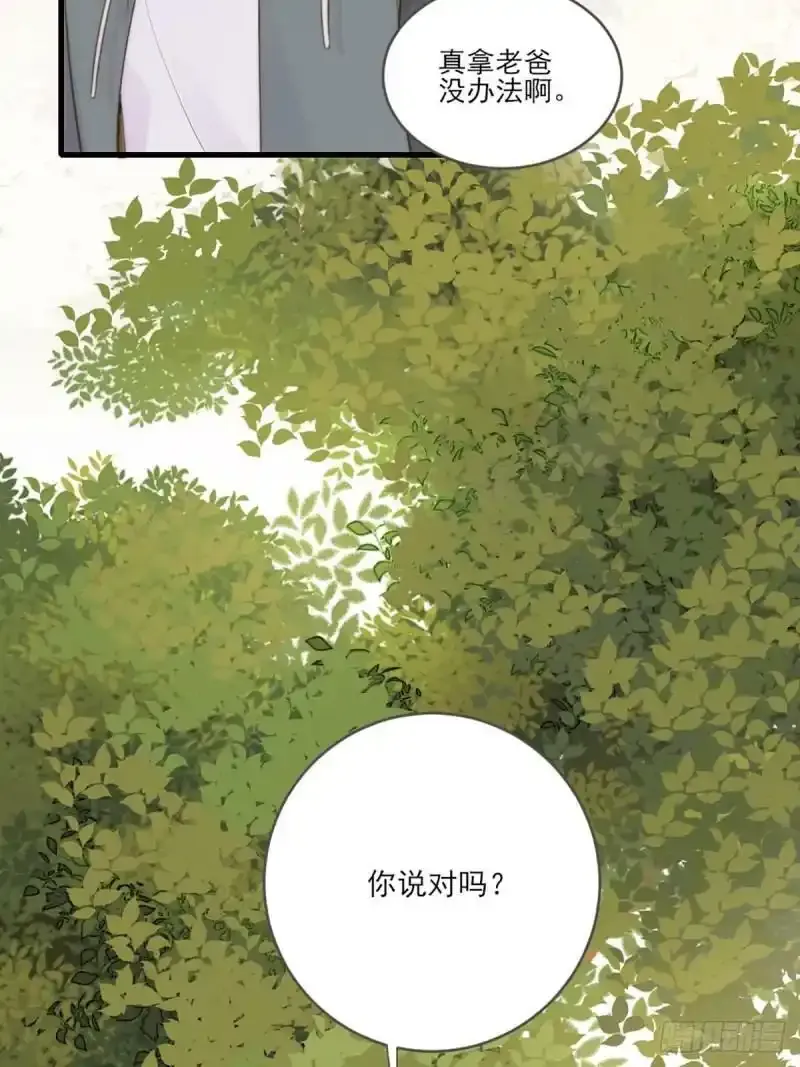 命运般地相遇了 第19页