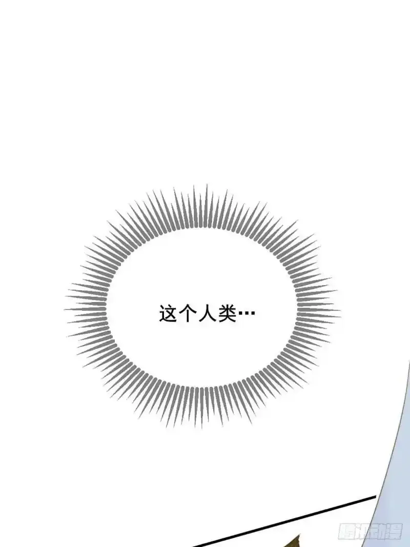命运般地相遇了 第127页